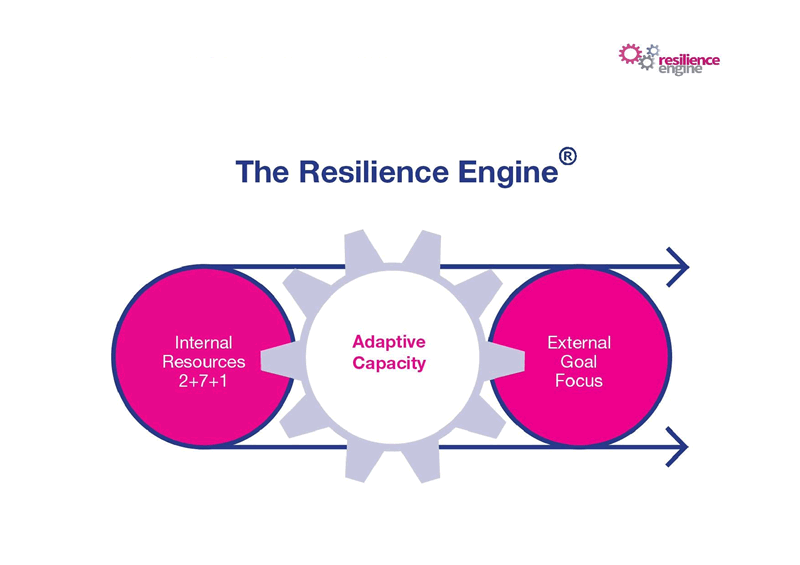 Resilience-Engine